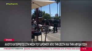 Ισπανία: Καταρρέουν άλογα και μεταφέρονται ψάρια λόγω ζέστης!