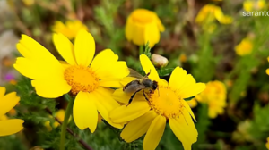 Άνοιξη 2023:Η φύση δημιουργεί και προχωράει...