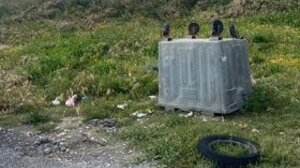 Σκουπίδια, παλιά αυτοκίνητα και σωροί από ξερά κλαδιά δίπλα στο "στολίδι" του αθλητισμού