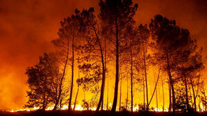 Με τις πυρκαγιές να αγριεύουν, η Γαλλία απαγορεύει το κάπνισμα στα δάση
