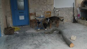 Δε σταματάνε να βρίσκουν φόλες