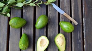 Αβοκάντο: ο εξωτικός θησαυρός 