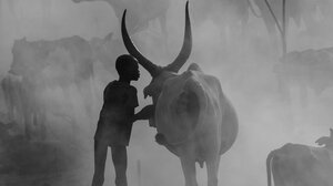 Τον Αύγουστο το 6ο Chania International Photo Festival