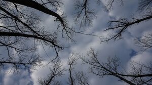 Δασικοί χάρτες: Έπιασαν δουλειά οι Επιτροπές Εξέτασης Αντιρρήσεων