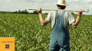 Τράπεζα Πειραιώς: Παρέχει ρευστότητα στον αγροτικό κόσμο μέσω της Κάρτας Αγρότη