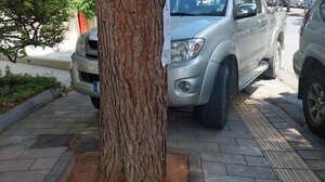 Παρκάρω το γάιδαρό μου όπου θέλω και ας μην έχει νερό να πιει...