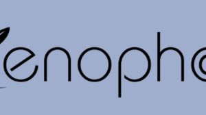 Στην εφημερίδα της κυβέρνησης η άδεια λειτουργίας του "Ξενοφώντα"