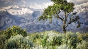 Εξόρμηση του Πανεπιστημίου των Ορέων στο Σίβα, Δήμου Φαιστού