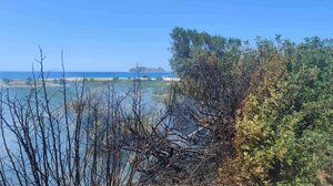 Πρόλαβαν την φωτιά στα Φαλάσαρνα