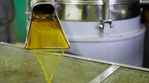 Ελαιόλαδο: Έως και 75% η μείωση παραγωγής στην Κρήτη