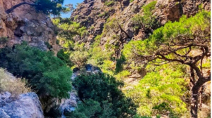 Στο φαράγγι με τις κόκκινες πεταλούδες οι "Δρόμοι Ζωής"