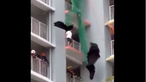 Σιγκαπούρη: Πυροσβέστες διέσωσαν 74χρονη μέσα σε λίγα δευτερόλεπτα