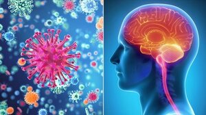 Ύποπτος μύκητας προκαλεί μηνιγγίτιδα στις ΗΠΑ και το Μεξικό