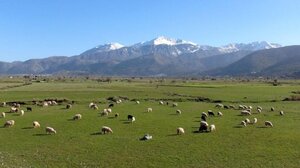 Σε όλους τους ψηφιακούς χάρτες της Google είναι πλέον ολόκληρο ξανά το “χρυσό δαχτυλίδι” του οδικού δικτύου του Οροπεδίου Λασιθίου