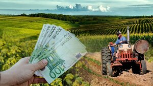 ΚΑΠ: Πώς θα ενισχυθούν οι παραγωγοί ανά καλλιέργεια για τη βιολογική γεωργία – κτηνοτροφία