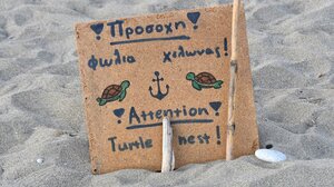1η φωλιά χελώνας καρέτα-καρέτα στην Κρήτη!