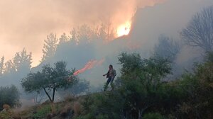 Προφήτης Ηλίας: Έτρεξαν όλοι να σβήσουν την φωτιά - Δείτε φωτογραφίες