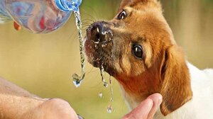 Δικαίωμα τους αλλά και υποχρέωση μας!