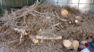 Εστία πυρκαγιάς δίπλα στον Άγιο Μηνά