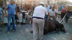 ΜέΡΑ25: Δεν είναι έθιμο, είναι κακοποίηση