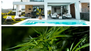 Θεαματικό «ντου» της Δίωξης Ναρκωτικών Ηρακλείου σε ναρκω-έπαυλη στην Αττική