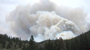 Πολύ υψηλός κίνδυνος πυρκαγιάς σε όλο το Νομό Χανίων - Σε επιφυλακή οι αρχές, πρόστιμο στους παραβάτες