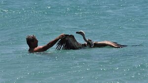 O ταλαιπωρημένος "Μαθιός" σώθηκε χάρη στην ευαισθησία εθελοντών!