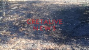 Μεγάλη κινητοποίηση για φωτιά στο Νιπιδιτό!