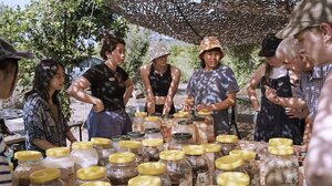 Μία δημιουργική ματιά στον υλικό πολιτισμό, στον Δήμο Πλατανιά