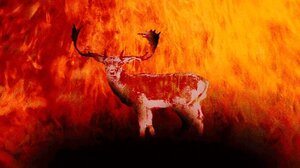 Τροφή για τα πυρόπληκτα ελάφια της Ρόδου, στέλνουν τα ελάφια της Λήμνου!