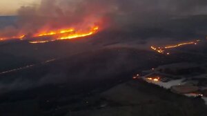 Εισαγγελική έρευνα για οργανωμένο σχέδιο εμπρησμών στη Μαγνησία