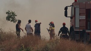 Στις πληγείσες περιοχές της Μαγνησίας κλιμάκιο του ΠΑΣΟΚ- ΚΙΝΑΛ