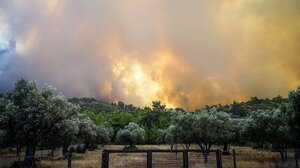 Ανεξέλεγκτη σε τρία μέτωπα μαίνεται η πυρκαγιά στη Ρόδο