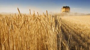 Τηλεφωνική επικοινωνία Ζελένσκι - Ερντογάν για τις εξαγωγές σιτηρών μέσω της Μαύρης Θάλασσας