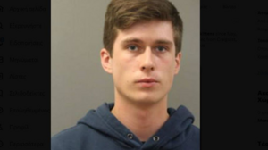 22χρονος σκότωσε τρία γατάκια σε... φούρνο μικροκυμάτων