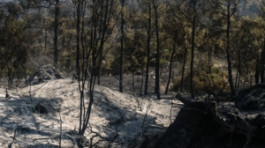 Ρόδος: Σοβαρές αναζωπυρώσεις