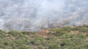 Βόλος: Mεγάλες αναζωπυρώσεις - Μήνυμα του 112 προς τους κατοίκους της Νέας Αγχιάλου