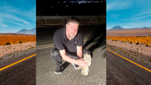 Αστυνομικός έσωσε κουκουβάγια που είχε «μαρμαρώσει» στη μέση του δρόμου- Δείτε βίντεο