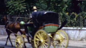 Βόλτα στον Δημοτικό Κήπο Χανίων το 1962