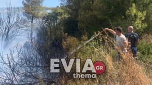 Νέα πυρκαγιά στην Εύβοια: Κινητοποιήθηκαν ισχυρές δυνάμεις της Πυροσβεστικής