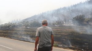 Φωτιές στον Έβρο: Φούντωσαν και πάλι τα πύρινα μέτωπα