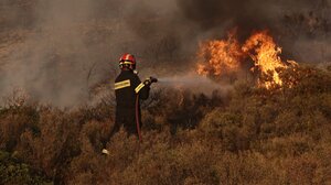 Φωτιά στη Ροδόπη