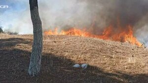  Φωτιά στη Βοιωτία: Νεκρός ένας κτηνοτρόφος