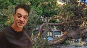 Φονικό πεύκο στο Ηράκλειο: Ένα χρόνο μετά, το CRETALIVE ανοίγει το φάκελο μιας μαύρης μέρας για την πόλη