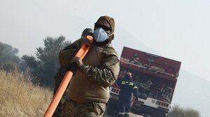 Μeteo: Το 33% των δασών της Αττικής κάηκε μέσα στα 7 τελευταία χρόνια