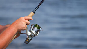 Δραματική μείωση των ψαριών σε Πατραϊκό και Ιόνιο - Που οφείλεται;