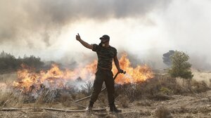 Πυρκαγιά σε δασική έκταση στην Εύβοια	