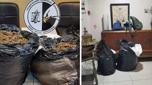 Δεν έπεισαν για τη... "φιλοξενία" των 13 κιλών κάνναβης