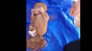 Σεισμός Μαρόκο: Συγκλονιστικό βίντεο, βρήκαν νεογέννητο στα συντρίμμια 