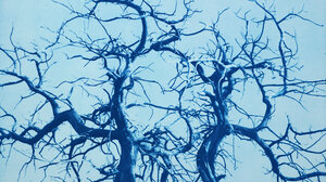 Παρουσίαση του φωτογραφικού βιβλίου Ο αποχαιρετισμός του Μινώταυρου / L’Adieu du Minotaure